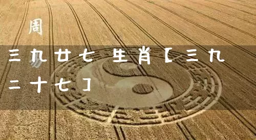 三九廿七 生肖【三九二十七】_https://www.dao-sheng-yuan.com_风水_第1张