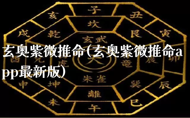玄奥紫微推命(玄奥紫微推命app最新版)_https://www.dao-sheng-yuan.com_五行_第1张