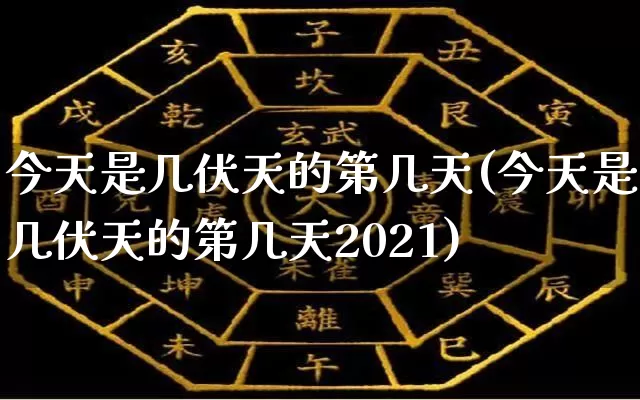 今天是几伏天的第几天(今天是几伏天的第几天2021)_https://www.dao-sheng-yuan.com_周公解梦_第1张