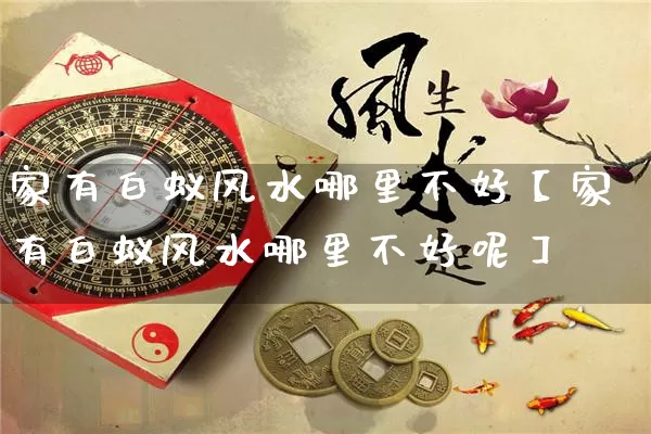 家有白蚁风水哪里不好【家有白蚁风水哪里不好呢】_https://www.dao-sheng-yuan.com_易经_第1张