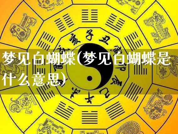 梦见白蝴蝶(梦见白蝴蝶是什么意思)_https://www.dao-sheng-yuan.com_风水_第1张