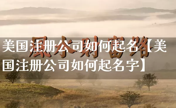 美国注册公司如何起名【美国注册公司如何起名字】_https://www.dao-sheng-yuan.com_算命_第1张