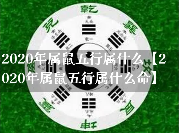 2020年属鼠五行属什么【2020年属鼠五行属什么命】_https://www.dao-sheng-yuan.com_八字_第1张