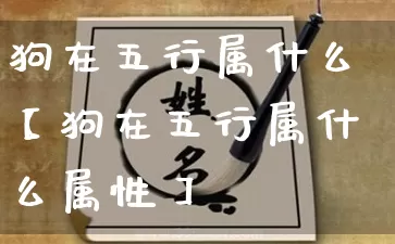 狗在五行属什么【狗在五行属什么属性】_https://www.dao-sheng-yuan.com_风水_第1张