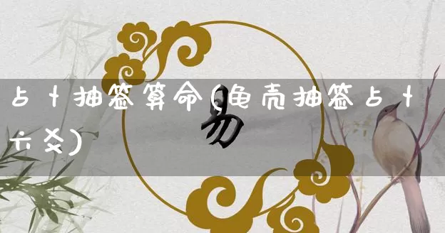 占卜抽签算命(龟壳抽签占卜六爻)_https://www.dao-sheng-yuan.com_十二星座_第1张