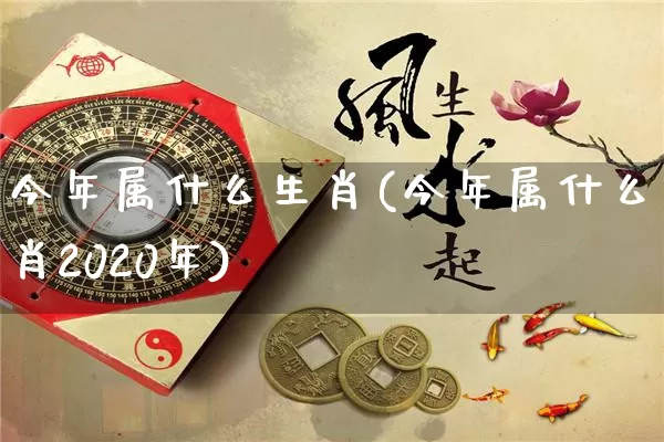 今年属什么生肖(今年属什么生肖2020年)_https://www.dao-sheng-yuan.com_八字_第1张