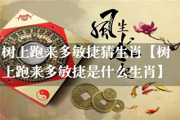 树上跑来多敏捷猜生肖【树上跑来多敏捷是什么生肖】_https://www.dao-sheng-yuan.com_八字_第1张