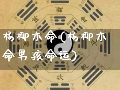 杨柳木命(杨柳木命男孩命运)_https://www.dao-sheng-yuan.com_周公解梦_第1张