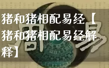 猪和猪相配易经【猪和猪相配易经解释】_https://www.dao-sheng-yuan.com_易经_第1张