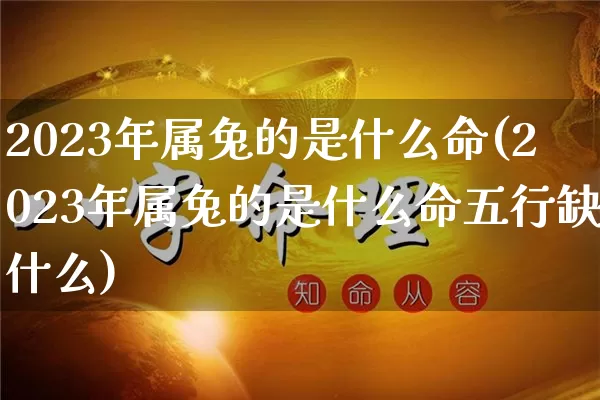 2023年属兔的是什么命(2023年属兔的是什么命五行缺什么)_https://www.dao-sheng-yuan.com_算命_第1张