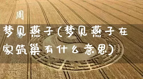 梦见燕子(梦见燕子在家筑巢有什么意思)_https://www.dao-sheng-yuan.com_起名_第1张