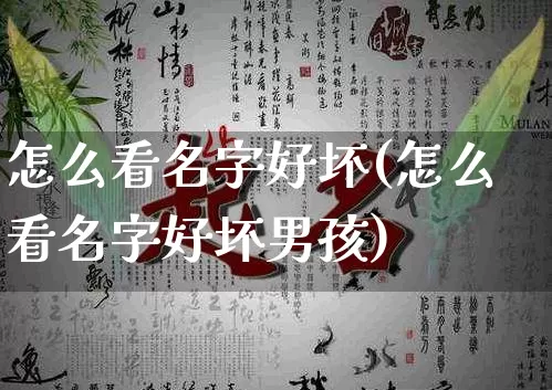 怎么看名字好坏(怎么看名字好坏男孩)_https://www.dao-sheng-yuan.com_十二星座_第1张