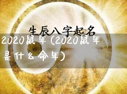 2020鼠年(2020鼠年是什么命年)_https://www.dao-sheng-yuan.com_道源国学_第1张