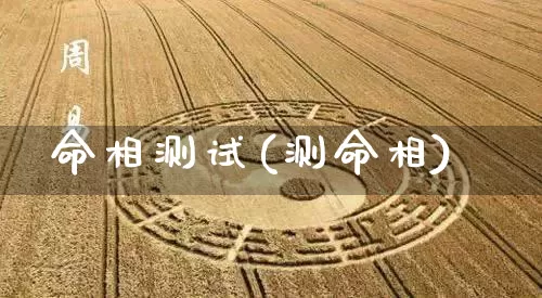 命相测试(测命相)_https://www.dao-sheng-yuan.com_生肖属相_第1张