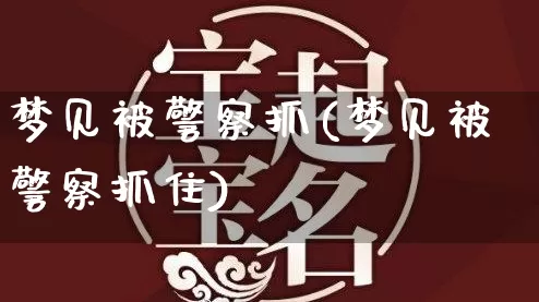 梦见被警察抓(梦见被警察抓住)_https://www.dao-sheng-yuan.com_算命_第1张