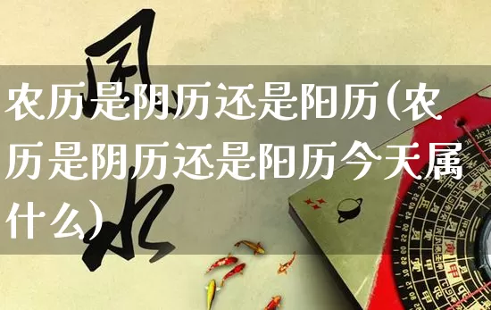 农历是阴历还是阳历(农历是阴历还是阳历今天属什么)_https://www.dao-sheng-yuan.com_八字_第1张