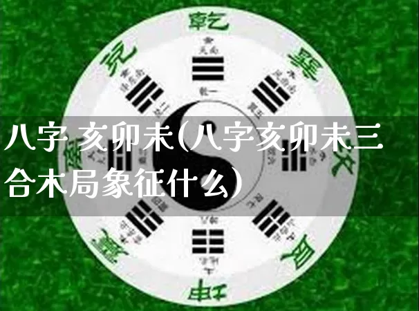 八字 亥卯未(八字亥卯未三合木局象征什么)_https://www.dao-sheng-yuan.com_起名_第1张