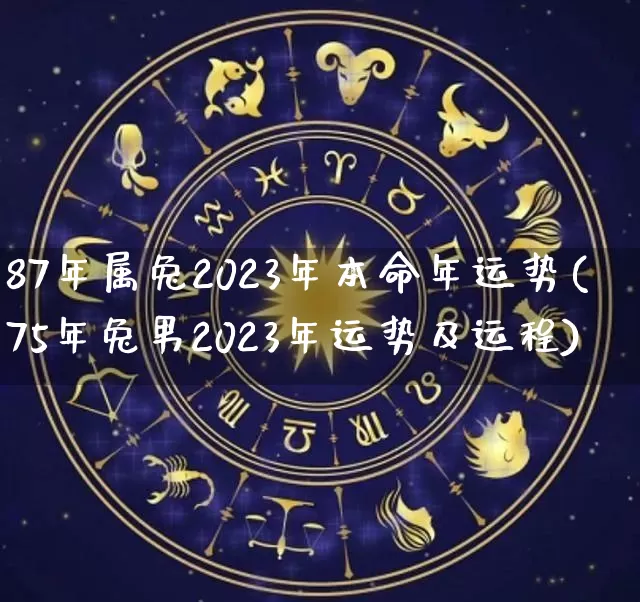 87年属兔2023年本命年运势(75年兔男2023年运势及运程)_https://www.dao-sheng-yuan.com_起名_第1张