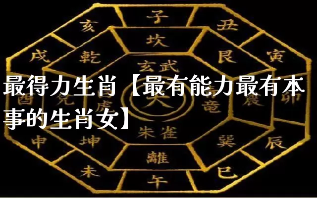 最得力生肖【最有能力最有本事的生肖女】_https://www.dao-sheng-yuan.com_八字_第1张