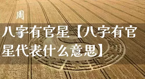 八字有官星【八字有官星代表什么意思】_https://www.dao-sheng-yuan.com_八字_第1张