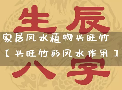 家居风水植物兴旺竹【兴旺竹的风水作用】_https://www.dao-sheng-yuan.com_起名_第1张