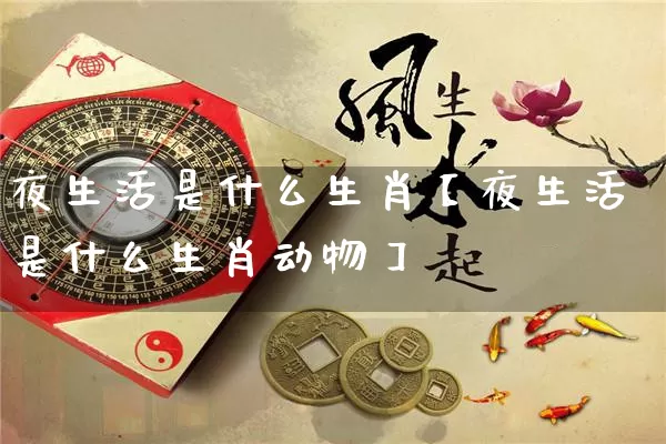 夜生活是什么生肖【夜生活是什么生肖动物】_https://www.dao-sheng-yuan.com_风水_第1张