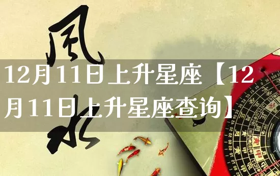 12月11日上升星座【12月11日上升星座查询】_https://www.dao-sheng-yuan.com_生肖属相_第1张