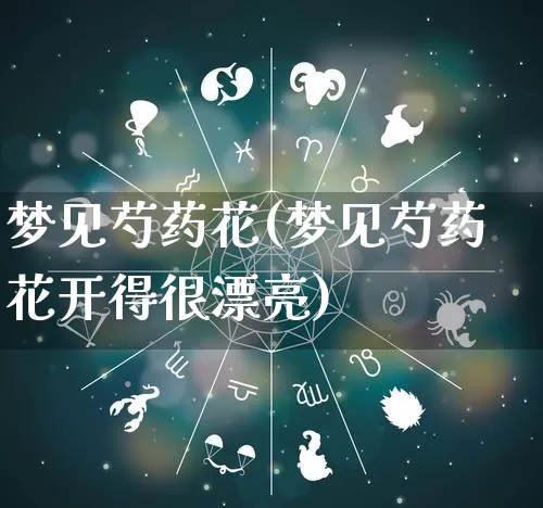 梦见芍药花(梦见芍药花开得很漂亮)_https://www.dao-sheng-yuan.com_起名_第1张