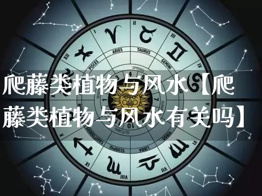 爬藤类植物与风水【爬藤类植物与风水有关吗】_https://www.dao-sheng-yuan.com_十二星座_第1张
