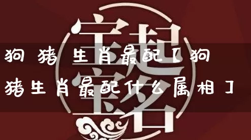 狗 猪 生肖最配【狗猪生肖最配什么属相】_生肖属相_第1张_道圣缘 狗 猪 生肖最配【狗猪生肖最配什么属相】_https://www.dao-sheng-yuan.com_生肖属相_第1张