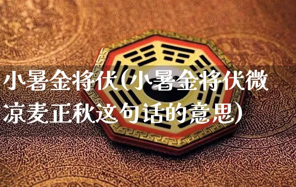 小暑金将伏(小暑金将伏微凉麦正秋这句话的意思)_https://www.dao-sheng-yuan.com_生肖属相_第1张