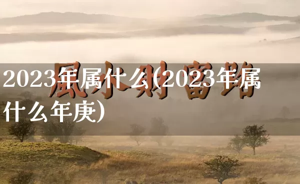 2023年属什么(2023年属什么年庚)_https://www.dao-sheng-yuan.com_十二星座_第1张