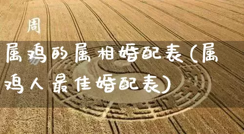 属鸡的属相婚配表(属鸡人最佳婚配表)_https://www.dao-sheng-yuan.com_道源国学_第1张