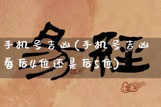 手机号吉凶(手机号吉凶看后4位还是后5位)_https://www.dao-sheng-yuan.com_生肖属相_第1张