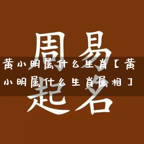 黄小明属什么生肖【黄小明属什么生肖属相】_https://www.dao-sheng-yuan.com_易经_第1张