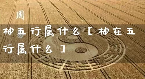 柚五行属什么【柚在五行属什么】_https://www.dao-sheng-yuan.com_生肖属相_第1张