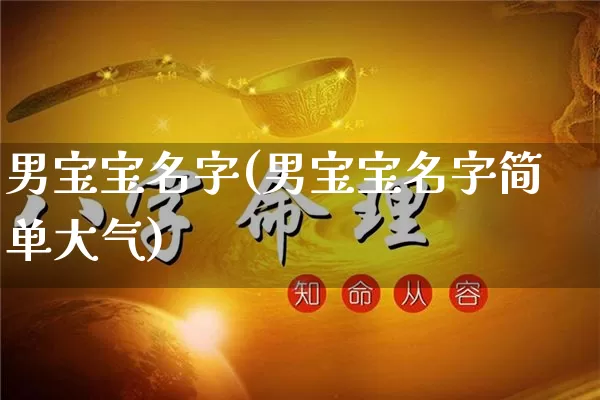 男宝宝名字(男宝宝名字简单大气)_https://www.dao-sheng-yuan.com_八字_第1张