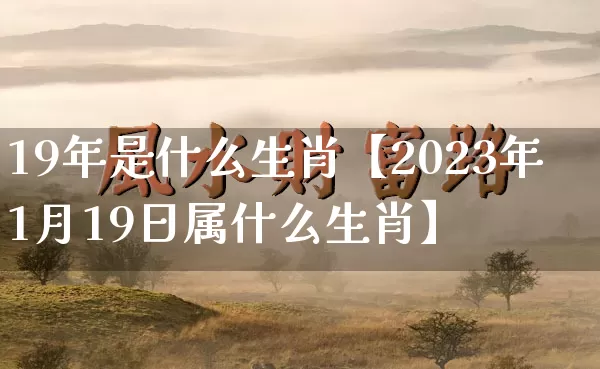 19年是什么生肖【2023年1月19日属什么生肖】_https://www.dao-sheng-yuan.com_算命_第1张