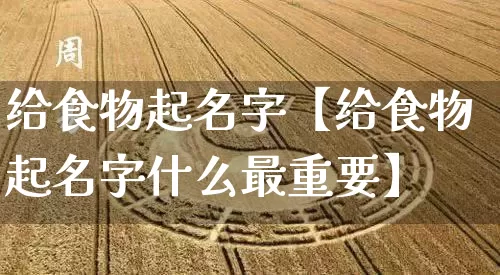 给食物起名字【给食物起名字什么最重要】_https://www.dao-sheng-yuan.com_起名_第1张