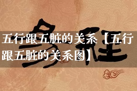 五行跟五脏的关系【五行跟五脏的关系图】_https://www.dao-sheng-yuan.com_五行_第1张