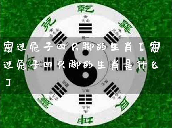 赛过兔子四只脚的生肖【赛过兔子四只脚的生肖是什么】_https://www.dao-sheng-yuan.com_风水_第1张
