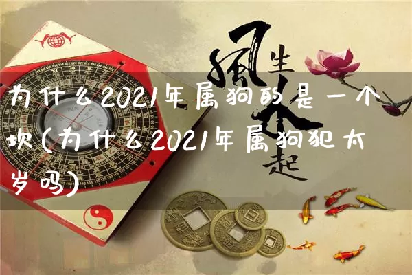为什么2021年属狗的是一个坎(为什么2021年属狗犯太岁吗)_https://www.dao-sheng-yuan.com_易经_第1张