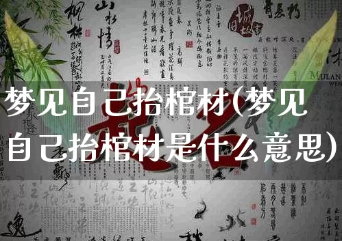 梦见自己抬棺材(梦见自己抬棺材是什么意思)_https://www.dao-sheng-yuan.com_十二星座_第1张
