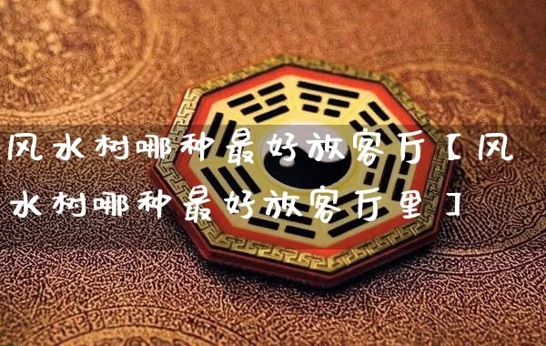 风水树哪种最好放客厅【风水树哪种最好放客厅里】_https://www.dao-sheng-yuan.com_生肖属相_第1张