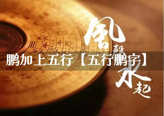 鹏加上五行【五行鹏字】_https://www.dao-sheng-yuan.com_算命_第1张