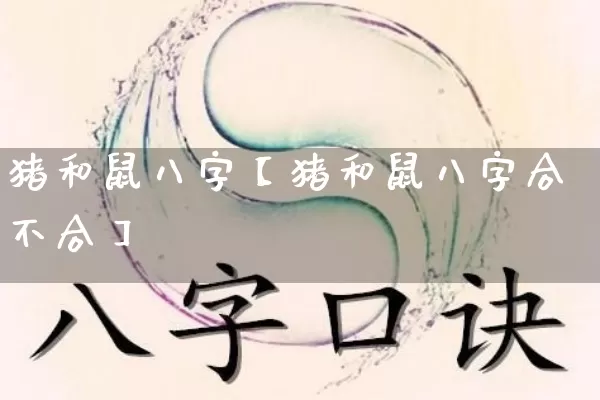 猪和鼠八字【猪和鼠八字合不合】_https://www.dao-sheng-yuan.com_生肖属相_第1张