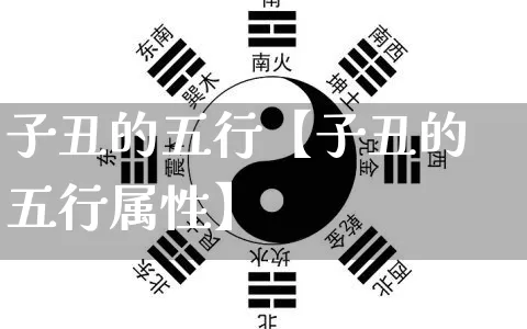 子丑的五行【子丑的五行属性】_五行_第1张_道圣缘 子丑的五行【子丑的五行属性】_https://www.dao-sheng-yuan.com_五行_第1张