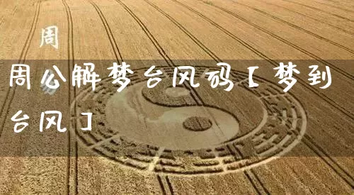 周公解梦台风码【梦到台风】_周公解梦_第1张_道圣缘 周公解梦台风码【梦到台风】_https://www.dao-sheng-yuan.com_周公解梦_第1张