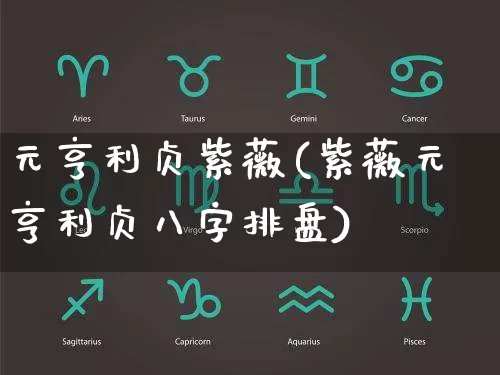 元亨利贞紫薇(紫薇元亨利贞八字排盘)_https://www.dao-sheng-yuan.com_风水_第1张