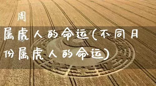 属虎人的命运(不同月份属虎人的命运)_https://www.dao-sheng-yuan.com_八字_第1张